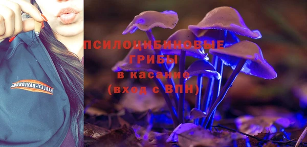 MESCALINE Богородицк